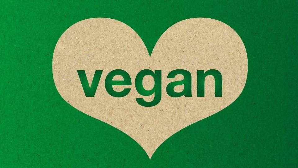 vegan-kategori-baskasindarama
